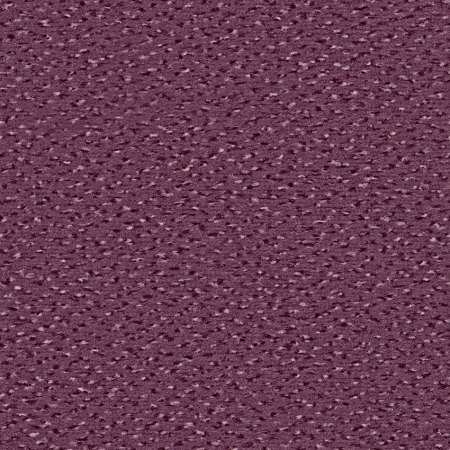 Alexis - 1P09